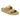 Arizona Essentials EVA Glamour Gold Medium/Narrow
